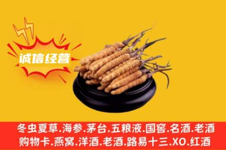 河源回收冬虫夏草